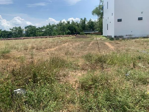 472690279 1155068669573591 4198033830764614744 n.jpg