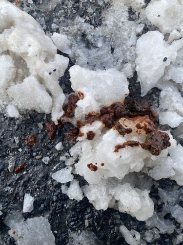 images%2Fimage 1736351067043.jpg