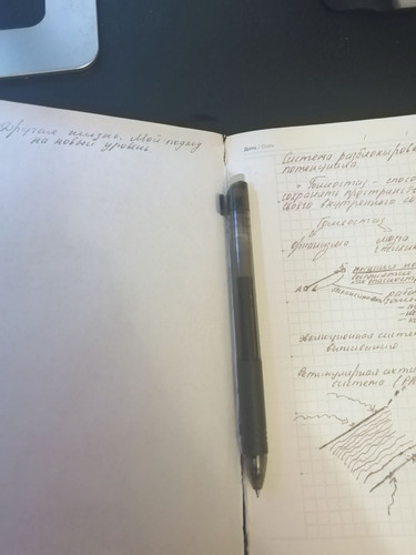 1736352536 304743309.jpg