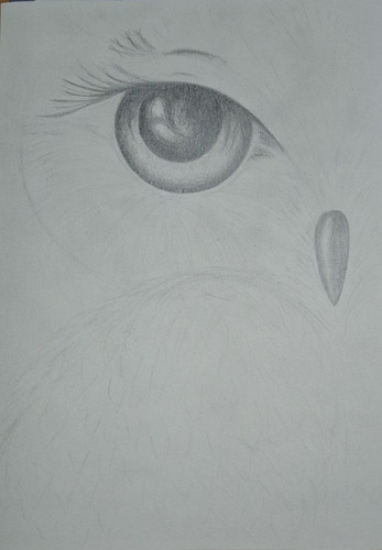 1736352004 518439925.jpg