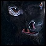 Mantaur 4.jpg