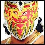 Mascara Dorado 9.jpg