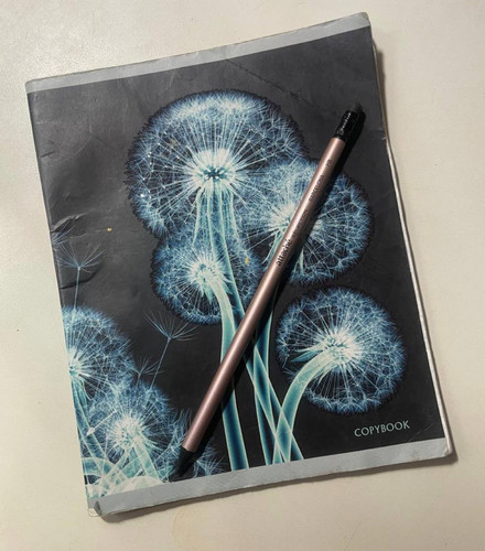 1736264529 1854493601.jpg