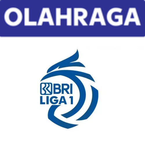 bri liga 1.png
