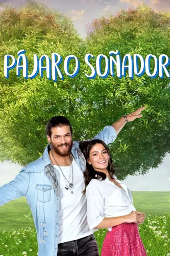 P3Fador.webp