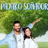 P3Fador