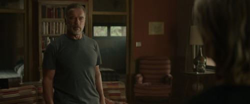 Terminator Dark.Fate.2019.1080p.BluRay.CZ SK EN.DD+5.1.x265.HEVC My.mkv snapshot 01.11.14 [2024.12.1.jpg