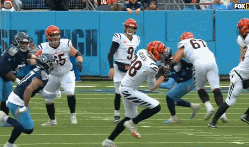 GIF 12 15 2024 12 40 59 PM.gif
