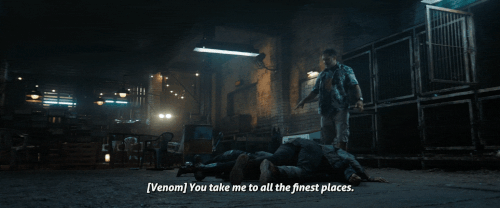 v3 141.gif