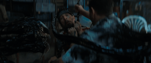 v3 115.gif