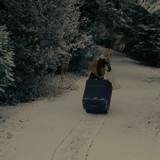 The.Holiday.2006.1080p.BluRay.CZ SK EN.x265.HEVC My.mkv snapshot 00.28.37 [2024.12.16 04.22.30]