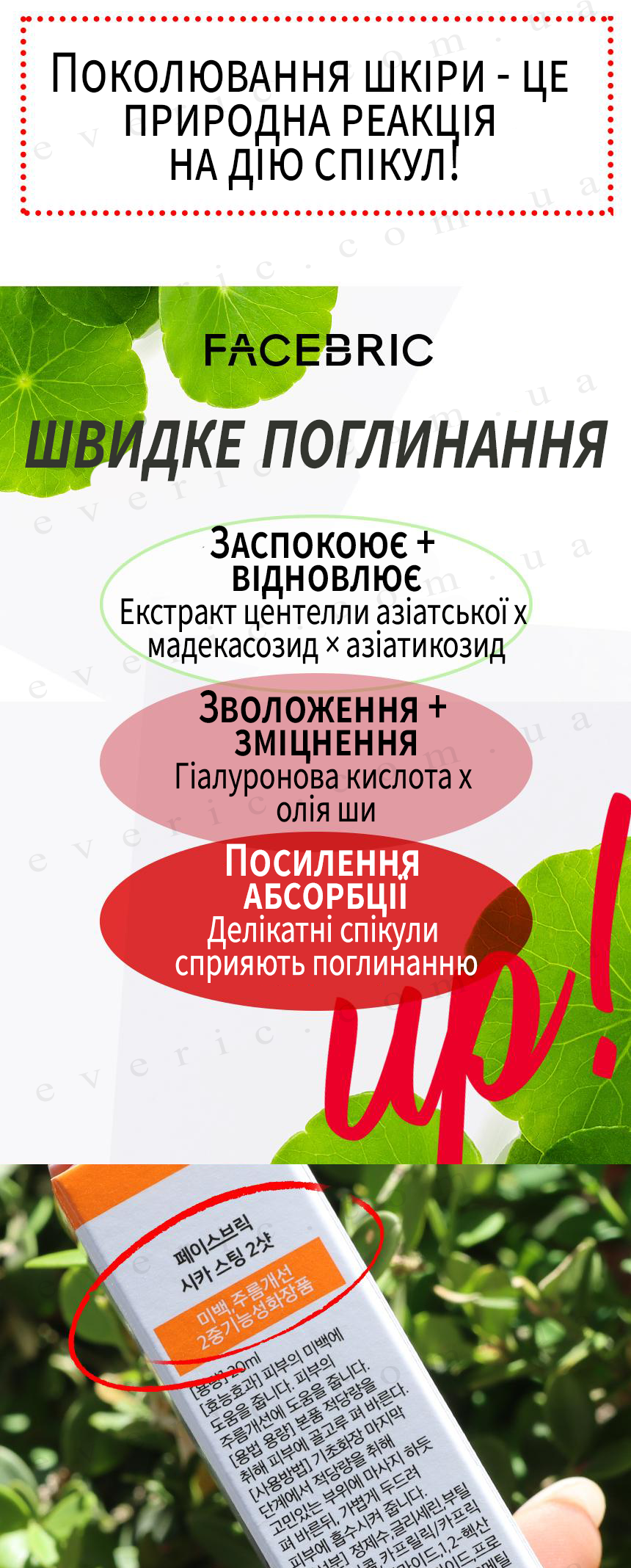 6 копия
