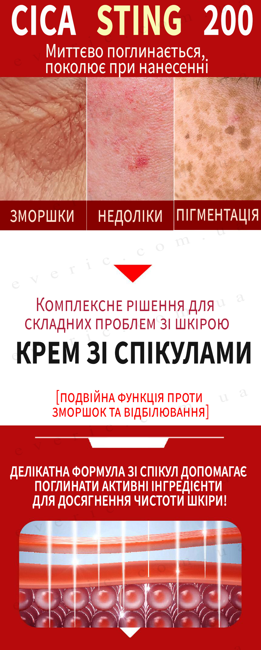 2 копия