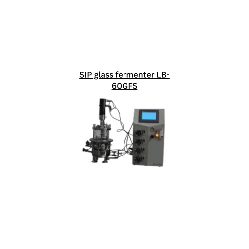 SIP glass fermenter LB 60GFS.jpg