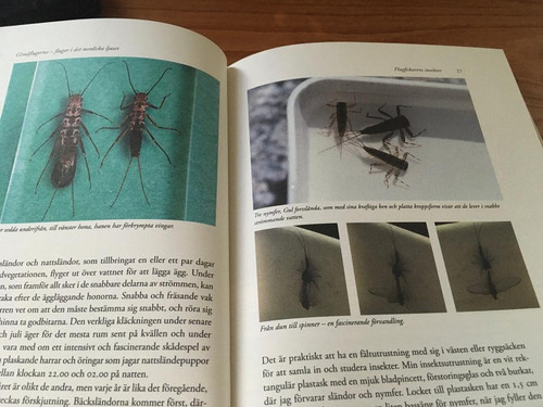 19b80d78 06ab 4ca4 9340 d6aae8dc5f55.jpg