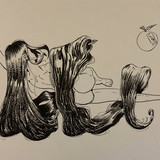 IMG 7731
