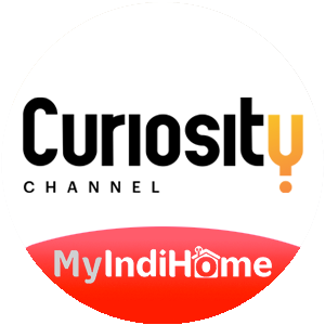 curiosity.png