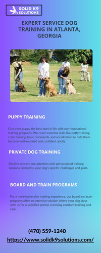 Expert Service Dog Training in Atlanta, Georgia.jpg