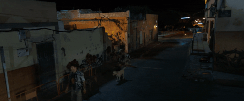 v3 154.gif