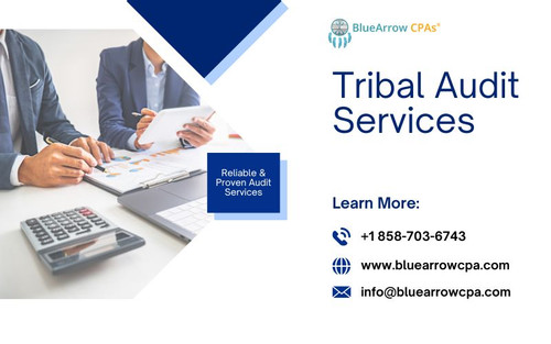 Tribal Audit Services (1).jpg