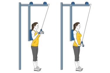 extension de triceps con cable polea de pie espalda apoyada init pos 1606.png