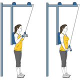 extension de triceps con cable polea de pie espalda apoyada init pos 1606