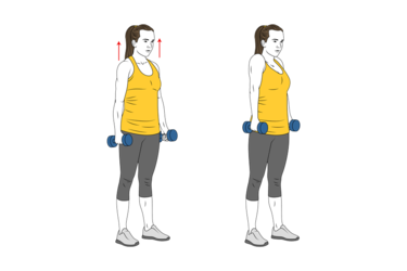 encogimiento de hombros con mancuernas init pos 6339.png