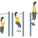 dominadas y extensiones init pos 6203