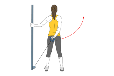 elevacion de hombro por detras con cable polea init pos 1378.png