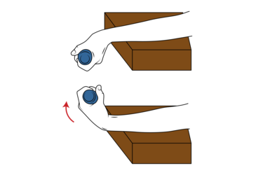 flexion de muneca con mancuerna en supinacion init pos 4564.png