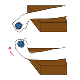 flexion de muneca con mancuerna en supinacion init pos 4564