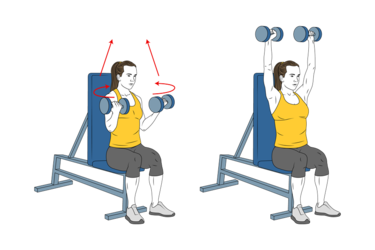 press de hombros arnold init pos 2732.png