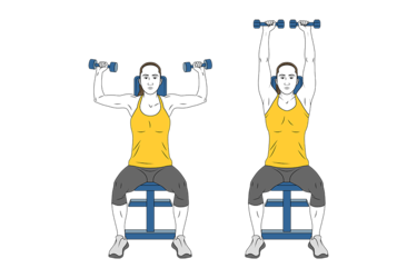press de hombros con mancuernas sentado con apoyo init pos 3143.png