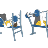 press pectoral en banco plano con barra agarre cerrado init pos 4311