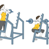 elevacion frontal con giro de hombros con mancuernas apoyados en pelota de pilates init pos 7764