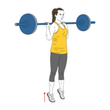 elevacion de talones de pie con barra init pos 1007