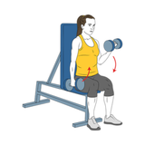 curl de biceps alterno sentado con mancuernas con giro init pos 9877