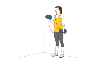 curl de biceps alterno con mancuernas con giro apoyado en la pared init pos 2669.png