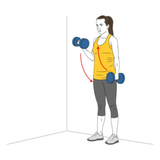 curl de biceps alterno con mancuernas con giro apoyado en la pared init pos 2669