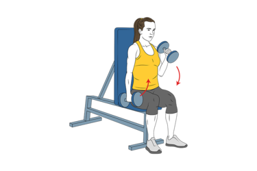 curl de biceps alterno con mancuernas sentado agarre martillo init pos 8523.png