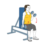 curl de biceps alterno con mancuernas sentado agarre martillo init pos 8523