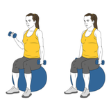 curl de biceps alterno con mancuernas con giro sobre pelota de pilates init pos 9336