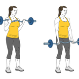 curl de biceps con barra en z de pie init pos 9988