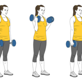 curl de biceps con giro supinacion y pronacion o zottman init pos 2424