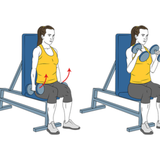 curl de biceps con mancuernas sentado con apoyo agarre tipo martillo init pos 1322