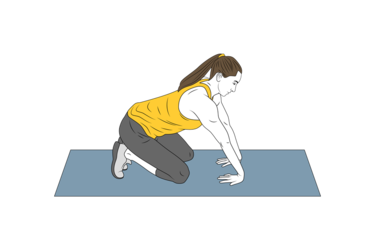 estiramiento de antebrazos init pos 1190.png