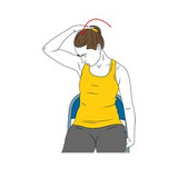 estiramiento elevador de la escapula init pos 3133