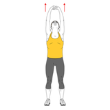 estiramiento paravertebrales y dorsales init pos 6665