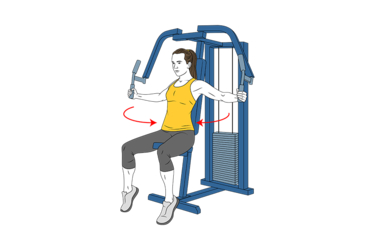 pajaros de pectoral en maquina init pos 4187.png