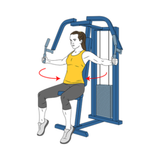 pajaros de pectoral en maquina init pos 4187